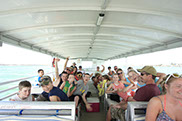 dolphin cruises in oraange beach, dolphin cruise boat orange beach, dolphin cruise orange beach